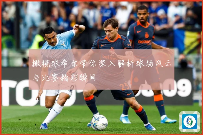 橄榄球希尔带你深入解析球场风云与比赛精彩瞬间