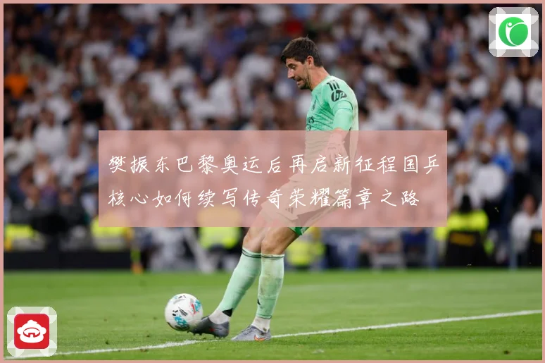 樊振东巴黎奥运后再启新征程国乒核心如何续写传奇荣耀篇章之路